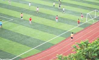 四川塑胶跑道厂家收费与售后指南 预制型跑道卷材选购须知